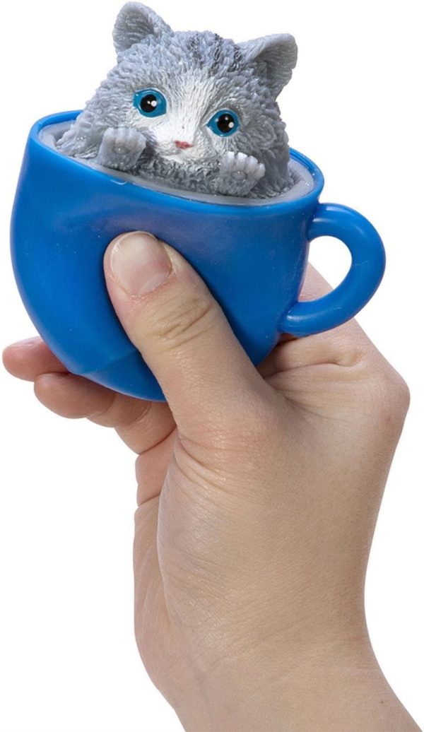 SCHYLLING POP A Chino Kitties